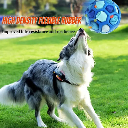Pet Foraging Instincts Enhancer